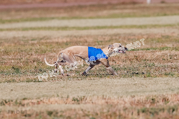 Open, Prelim, Carly-Zuma-Jet-4376