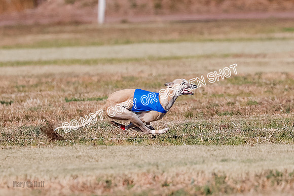 Open, Prelim, Carly-Zuma-Jet-4377
