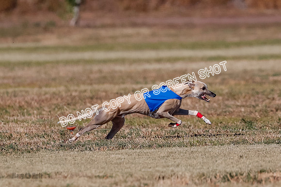 Open, Prelim, Carly-Zuma-Jet-4375