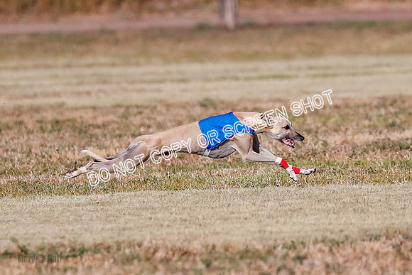 Open, Prelim, Carly-Zuma-Jet-4380