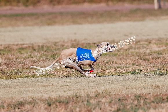 Open, Prelim, Carly-Zuma-Jet-4382