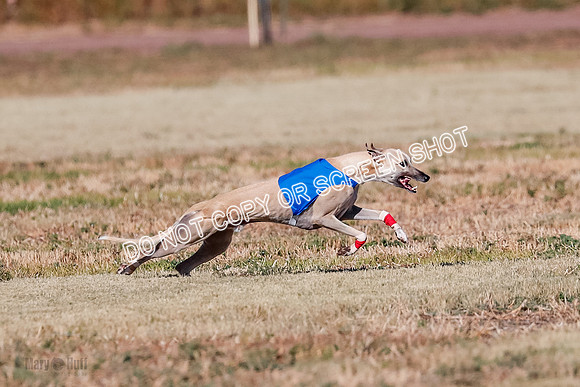 Open, Prelim, Carly-Zuma-Jet-4383