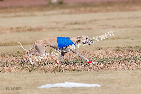 Open, Prelim, Carly-Zuma-Jet-4388