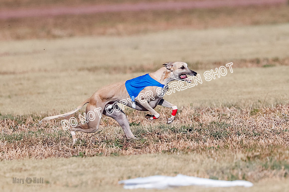 Open, Prelim, Carly-Zuma-Jet-4390