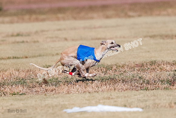 Open, Prelim, Carly-Zuma-Jet-4389