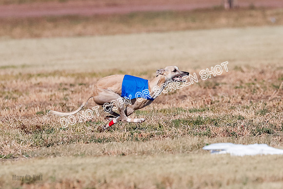 Open, Prelim, Carly-Zuma-Jet-4385