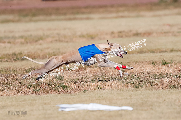 Open, Prelim, Carly-Zuma-Jet-4387