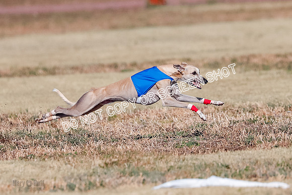 Open, Prelim, Carly-Zuma-Jet-4391