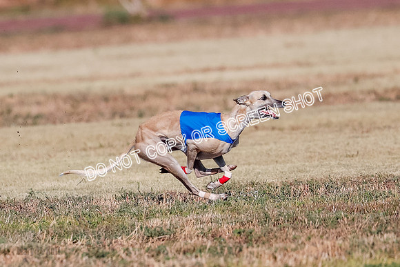 Open, Prelim, Carly-Zuma-Jet-4393