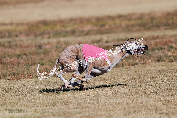 Open, Prelim, Carly-Zuma-Jet-4394