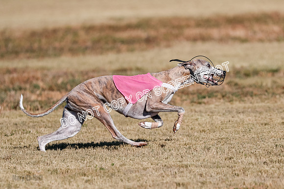 Open, Prelim, Carly-Zuma-Jet-4395