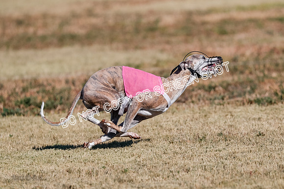 Open, Prelim, Carly-Zuma-Jet-4397