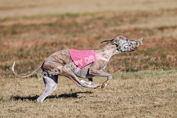 Open, Prelim, Carly-Zuma-Jet-4398