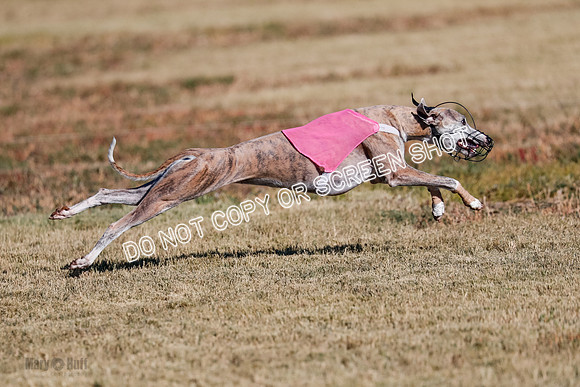 Open, Prelim, Carly-Zuma-Jet-4399