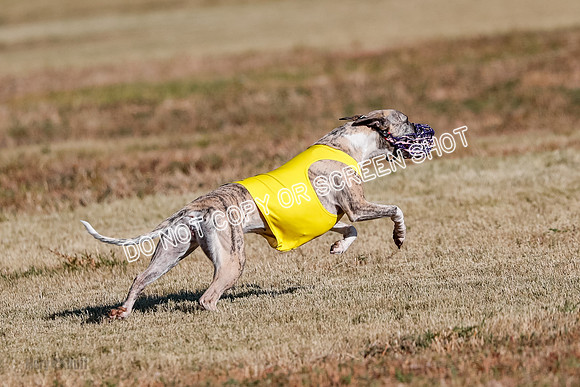 Open, Prelim, Carly-Zuma-Jet-4409