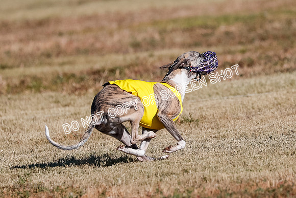 Open, Prelim, Carly-Zuma-Jet-4408
