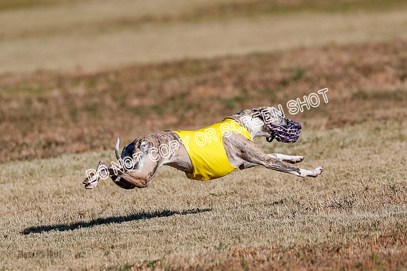 Open, Prelim, Carly-Zuma-Jet-4410