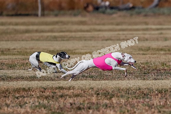 Open, Prelim, Dilly-Winta-4466