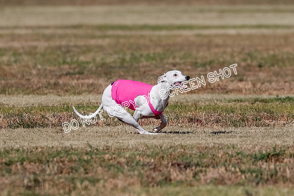 Open, Prelim, Dilly-Winta-4470