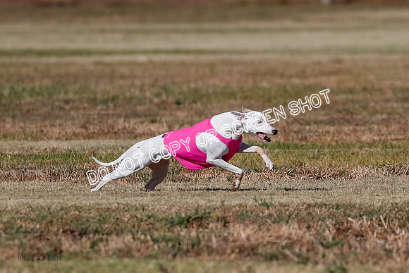 Open, Prelim, Dilly-Winta-4471