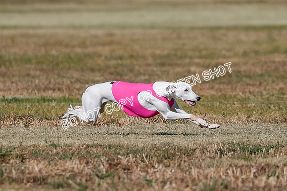 Open, Prelim, Dilly-Winta-4472