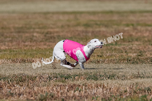 Open, Prelim, Dilly-Winta-4473