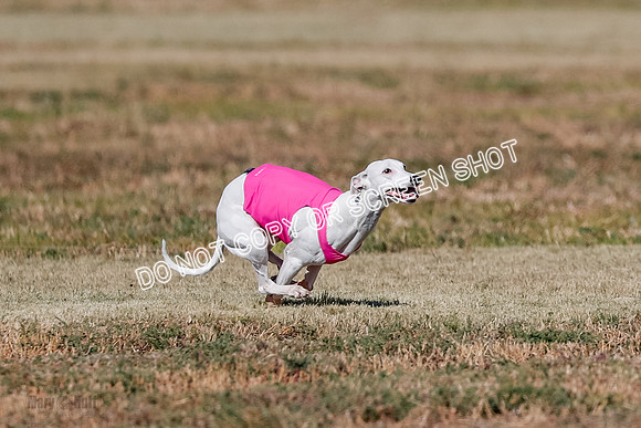 Open, Prelim, Dilly-Winta-4476