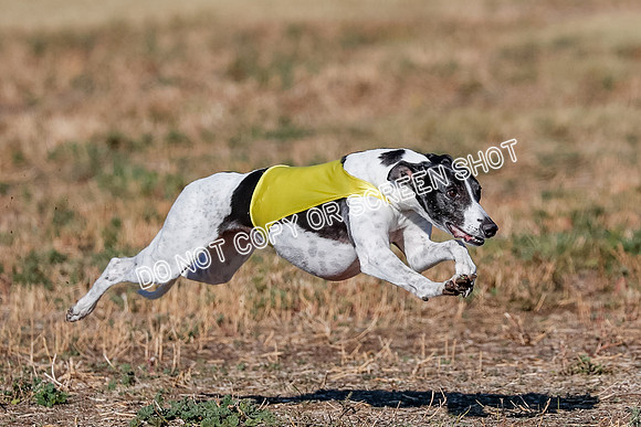 Open, Prelim, Dilly-Winta-4482