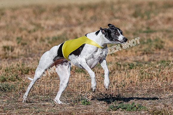 Open, Prelim, Dilly-Winta-4481