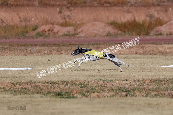 Open, Prelim, Dilly-Winta-4493