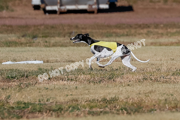 Open, Prelim, Dilly-Winta-4500