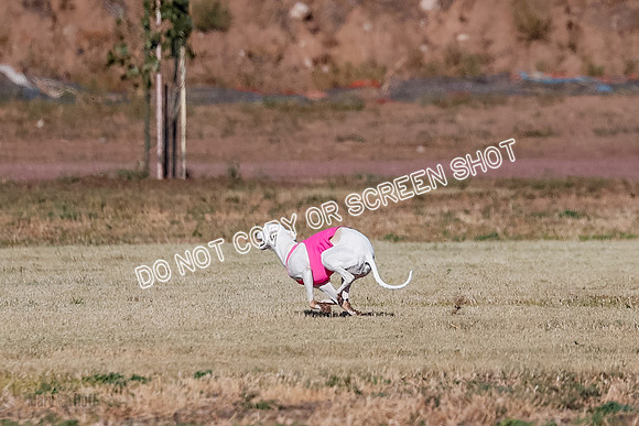 Open, Prelim, Dilly-Winta-4503