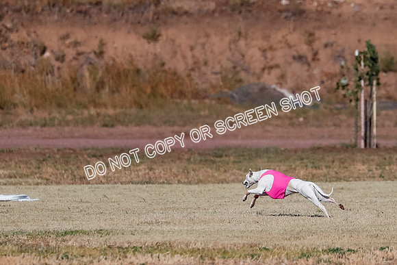 Open, Prelim, Dilly-Winta-4505