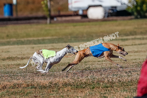 Open, Prelim, Luke-Flint-Lancer-4415