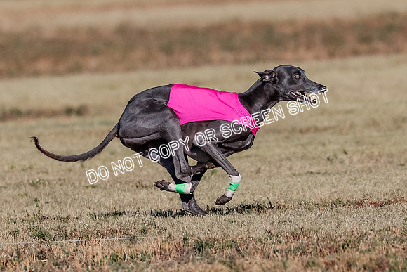 Open, Prelim, Luke-Flint-Lancer-4429
