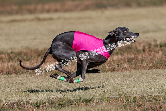 Open, Prelim, Luke-Flint-Lancer-4432