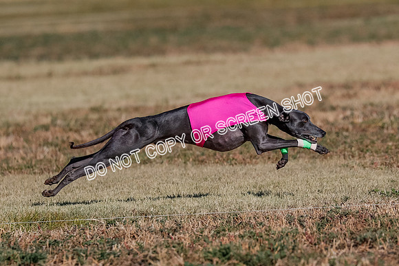 Open, Prelim, Luke-Flint-Lancer-4434