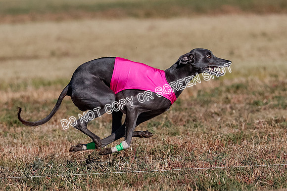 Open, Prelim, Luke-Flint-Lancer-4436