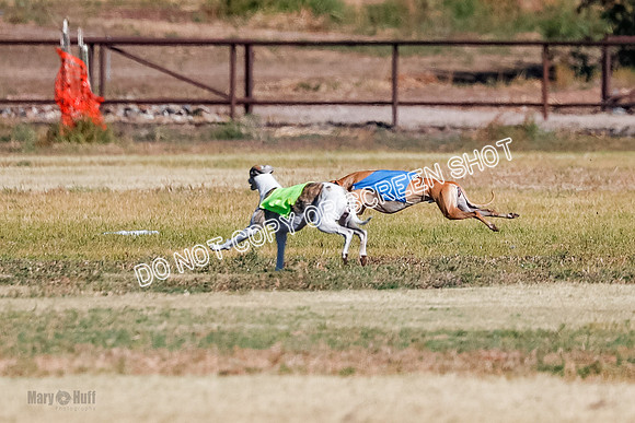Open, Prelim, Luke-Flint-Lancer-4442