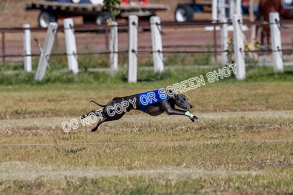 Open 1, Final, Zuma-Quinn-Flint-4910