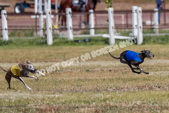 Open 1, Final, Zuma-Quinn-Flint-4913