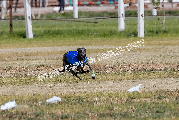 Open 1, Final, Zuma-Quinn-Flint-4916