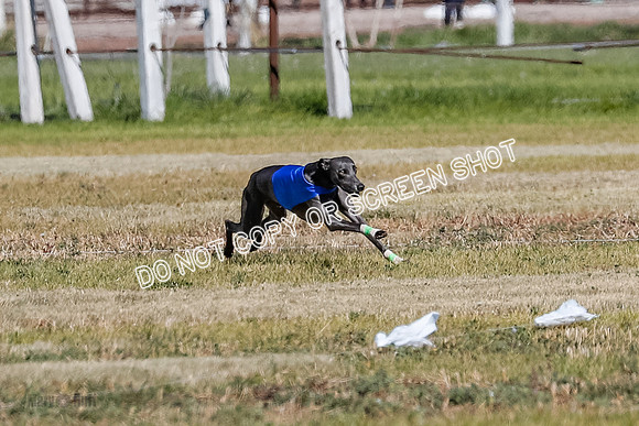 Open 1, Final, Zuma-Quinn-Flint-4914