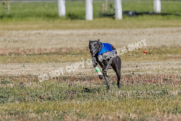 Open 1, Final, Zuma-Quinn-Flint-4925