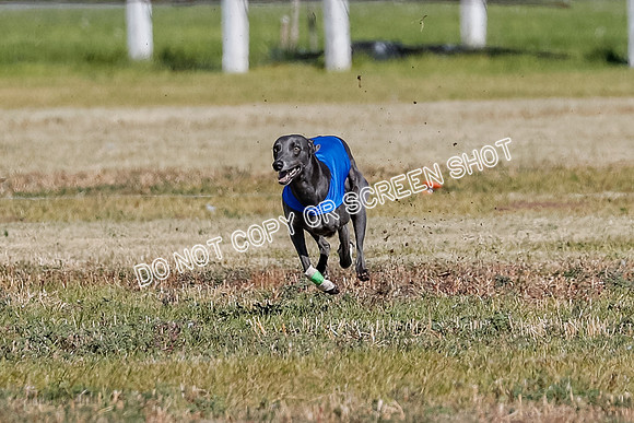 Open 1, Final, Zuma-Quinn-Flint-4924