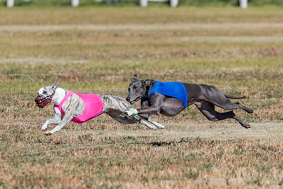 Open 1, Final, Zuma-Quinn-Flint-4933