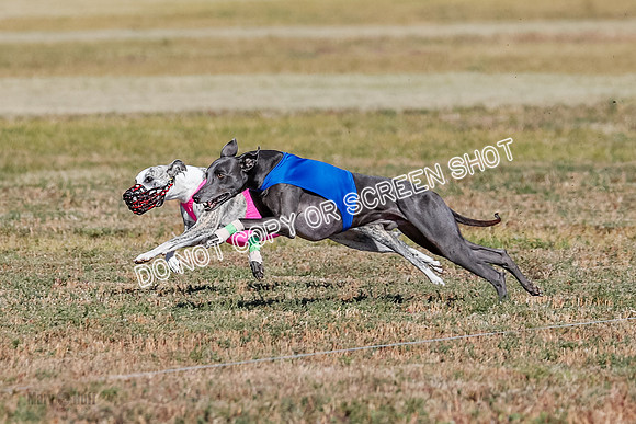 Open 1, Final, Zuma-Quinn-Flint-4937