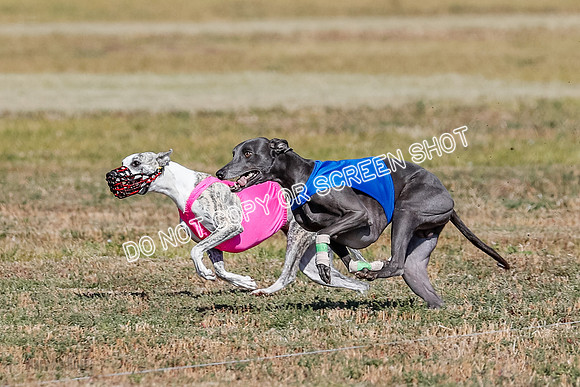 Open 1, Final, Zuma-Quinn-Flint-4936