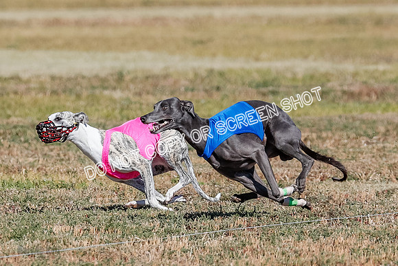 Open 1, Final, Zuma-Quinn-Flint-4935