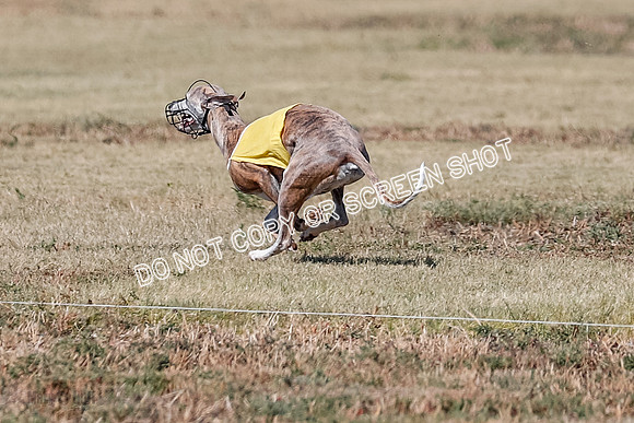 Open 1, Final, Zuma-Quinn-Flint-4940